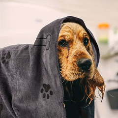 Cocker spaniel recién bañado envuelto en la toalla de secado rápido Calmora gris